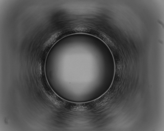 X0000093230734200710031458