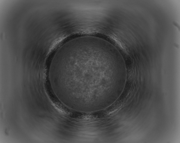 X0000093230736200710031458