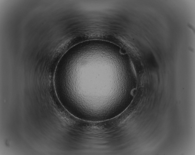 X0000093230737200710031458