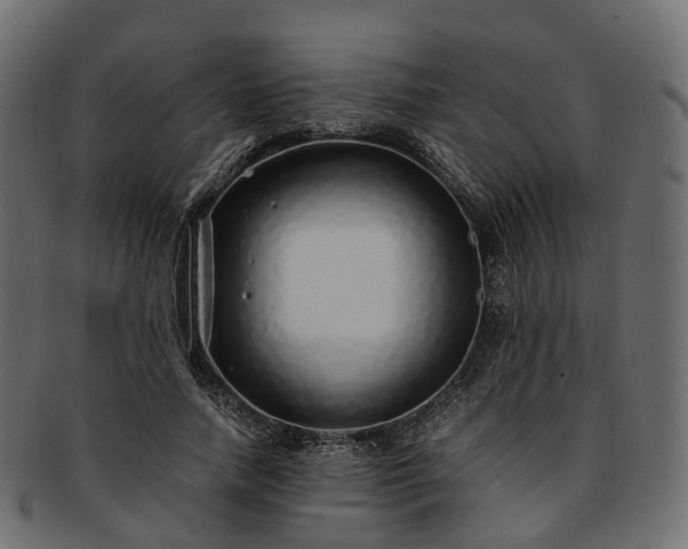 X0000093230738200710031458