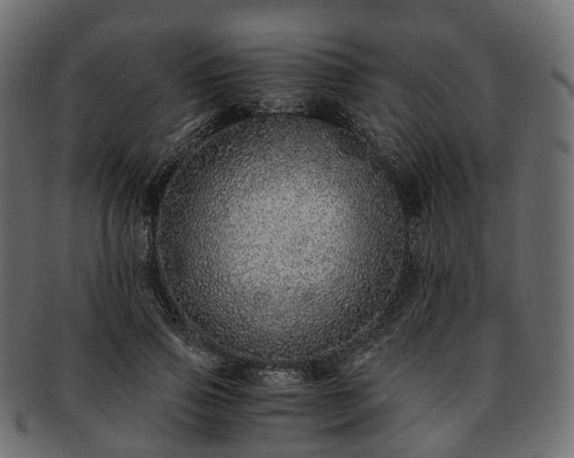 X0000093230741200710031458