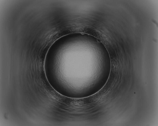 X0000093230745200710031458