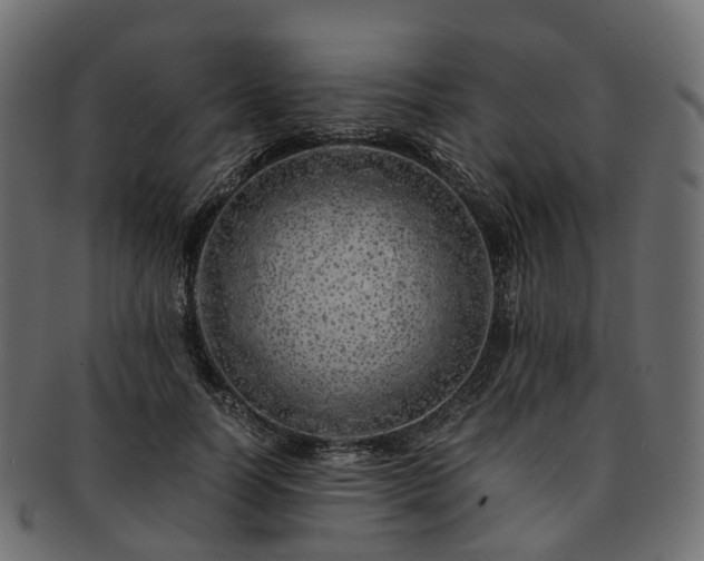 X0000093230746200710031458