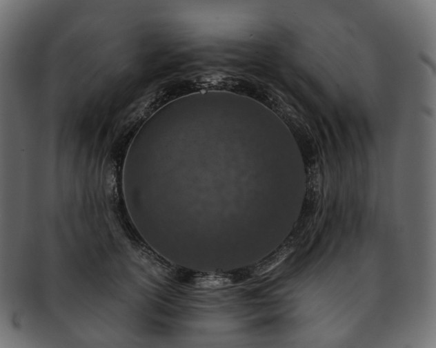 X0000093230754200710031458