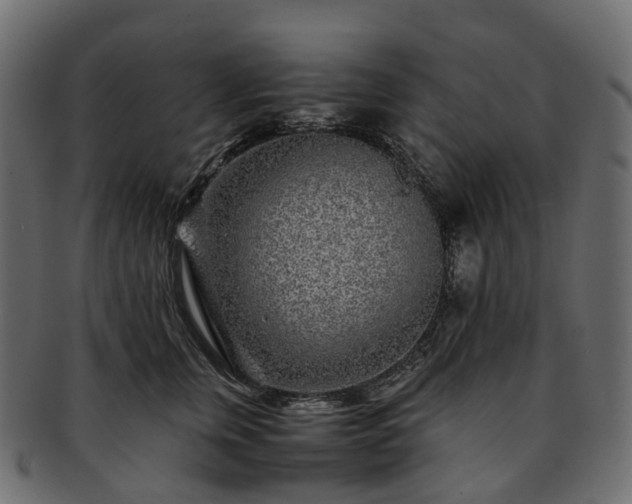 X0000093230759200710031458