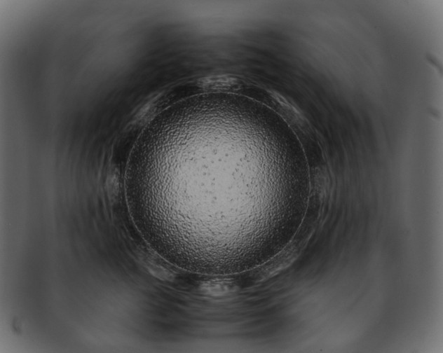 X0000093230761200710031458