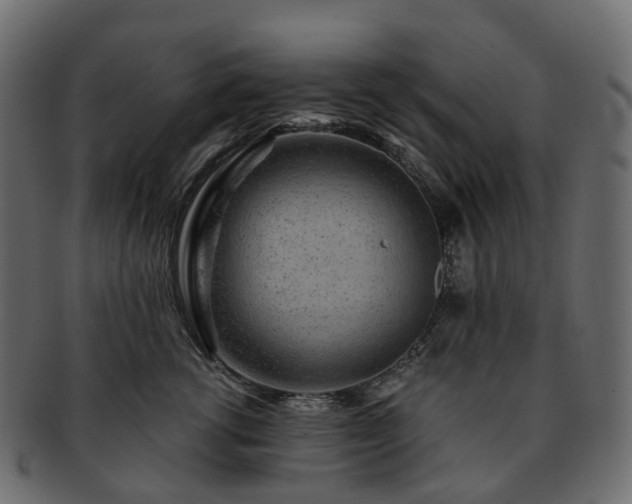 X0000093230762200710031458