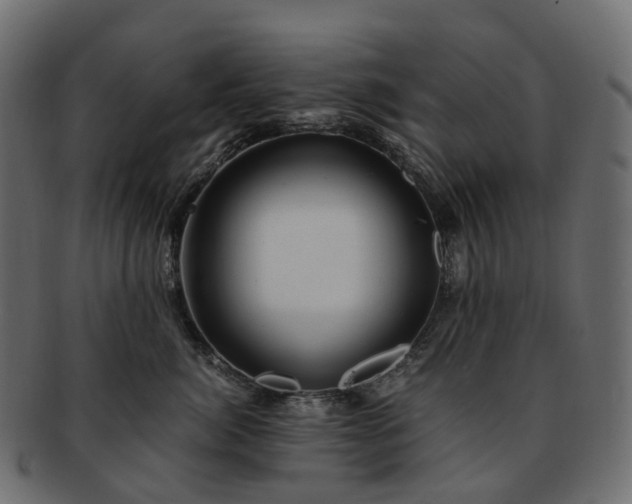 X0000093230764200710031458