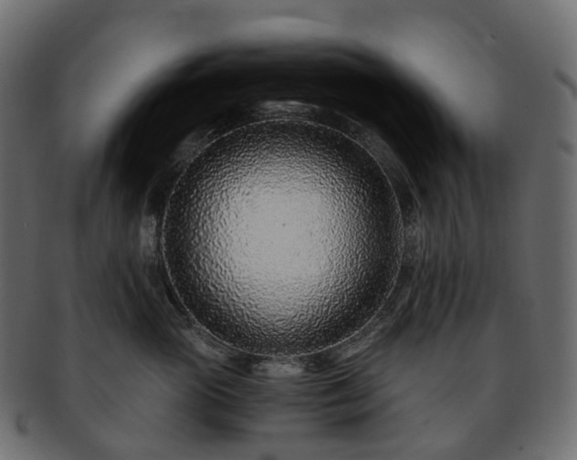 X0000093230765200710031458