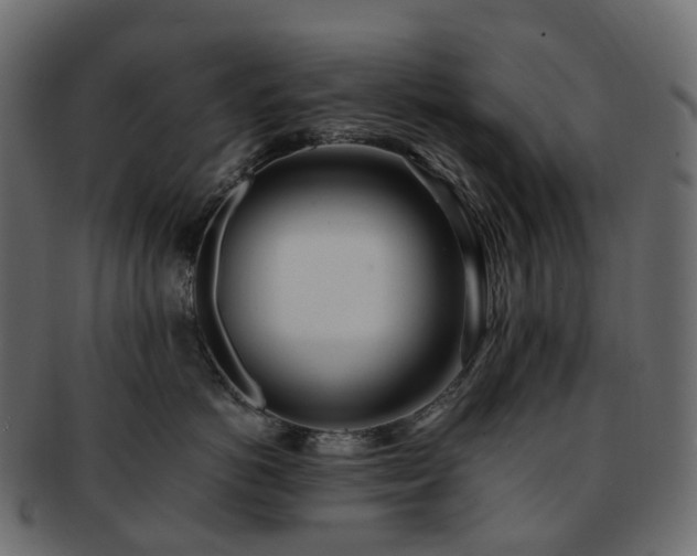 X0000093230766200710031458