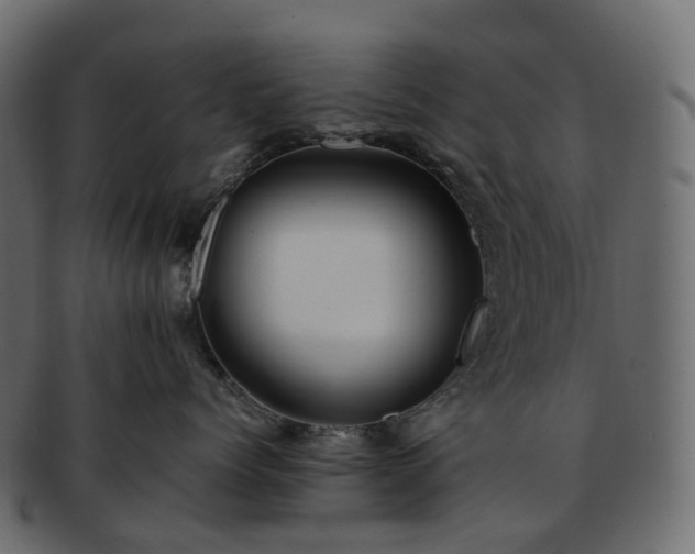 X0000093230768200710031458