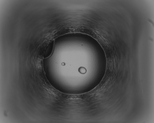 X0000093230770200710031458