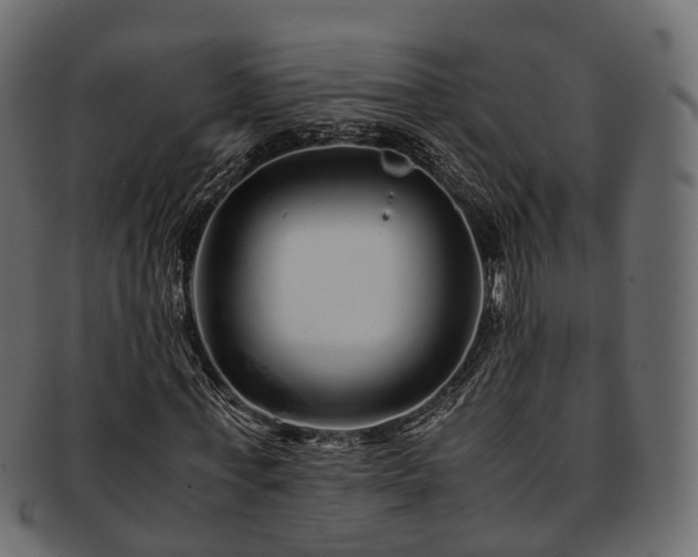 X0000093230771200710031458