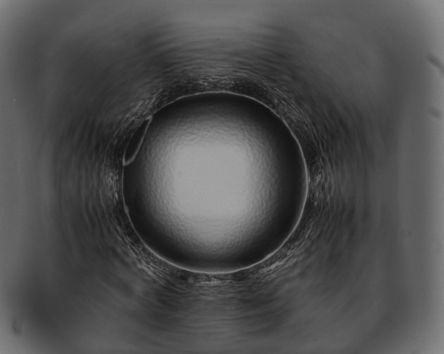 X0000093230772200710031458