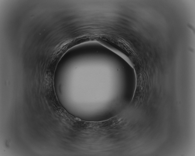 X0000093230773200710031458