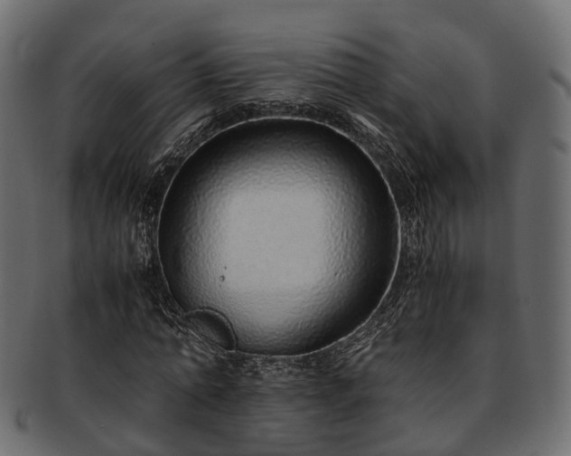 X0000093230774200710031458