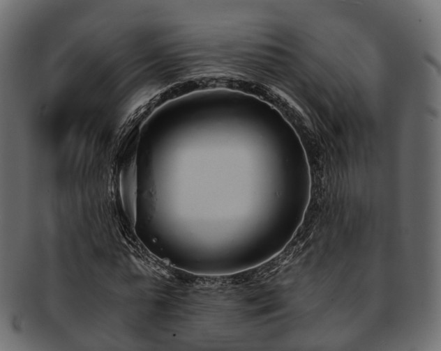 X0000093230775200710031458