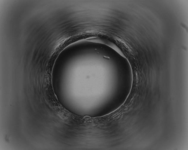 X0000093230776200710031458