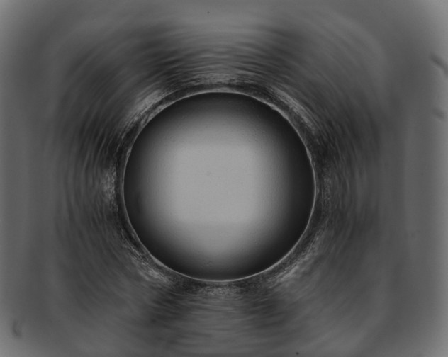 X0000093230778200710031458