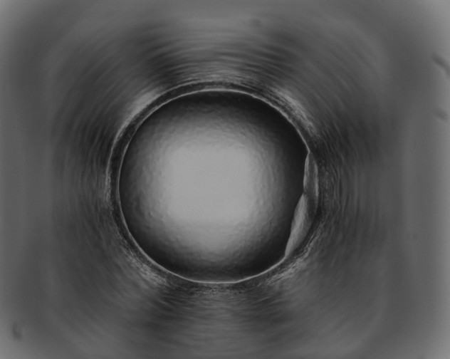 X0000093230780200710031458