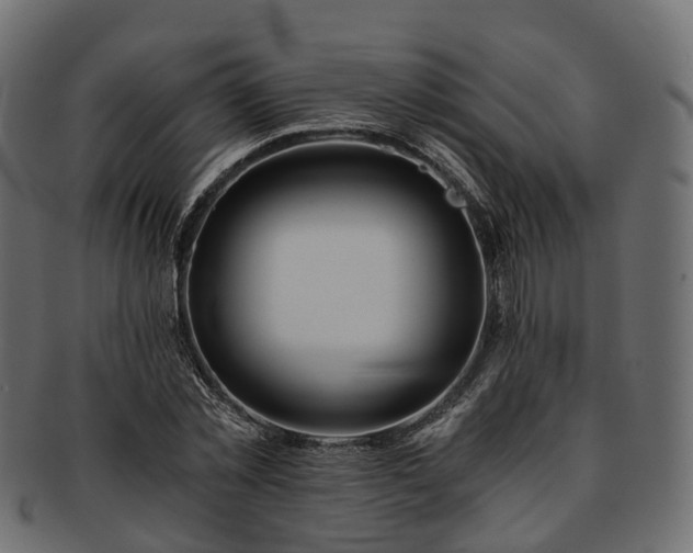 X0000093230781200710031458