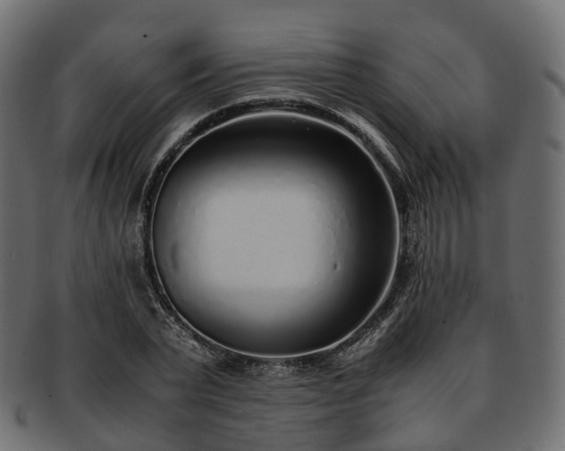 X0000093230783200710031458