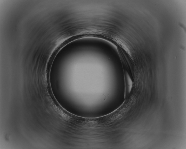 X0000093230784200710031458