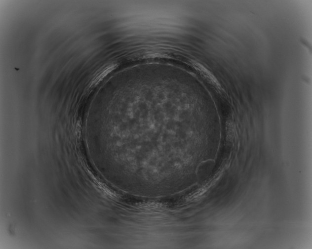 X0000093230785200710031457