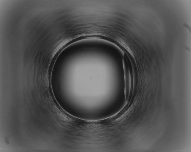 X0000093230789200710031457