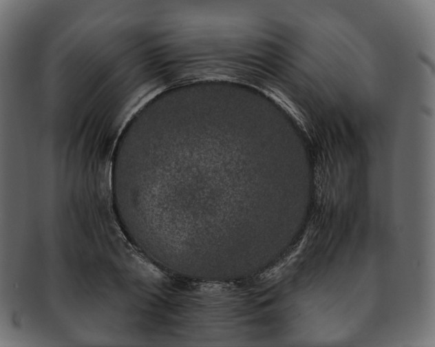 X0000093230790200710031457