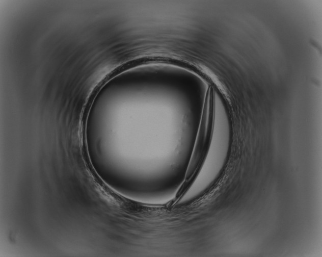 X0000093230791200710031457