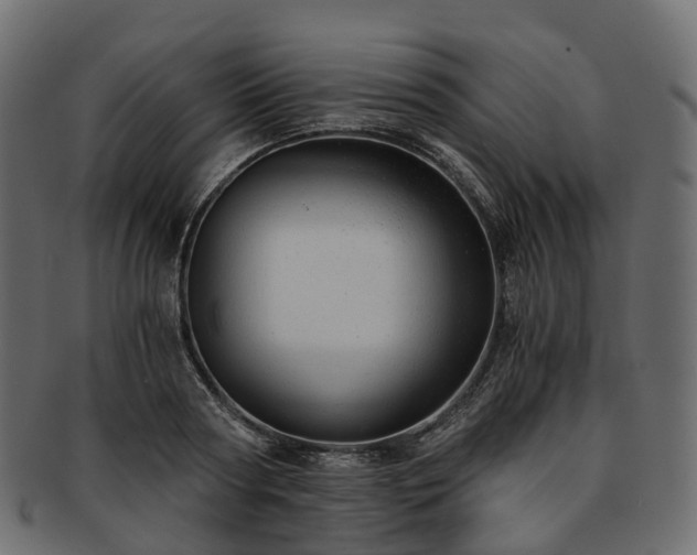 X0000093230794200710031457