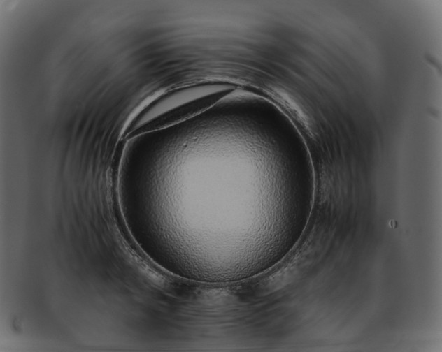 X0000093230798200710031457