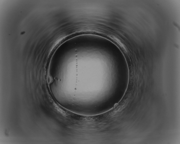 X0000093230799200710031457