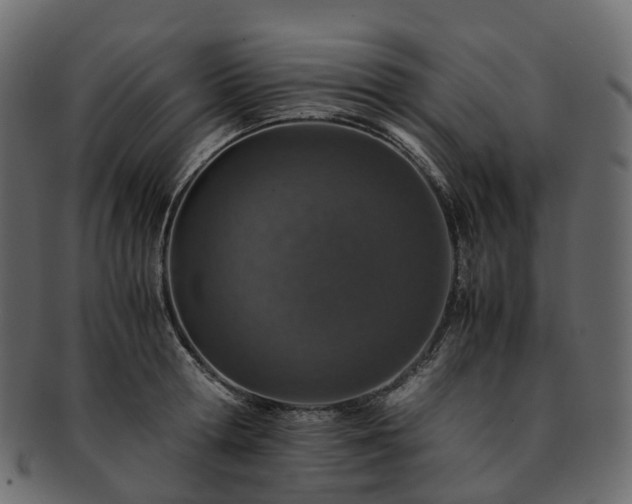 X0000093230802200710031457