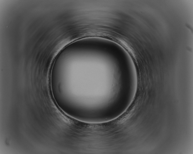 X0000093230803200710031457