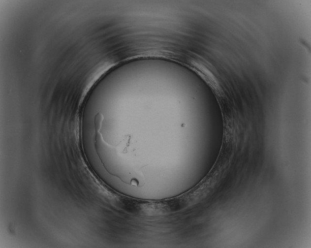 X0000093230804200710031457