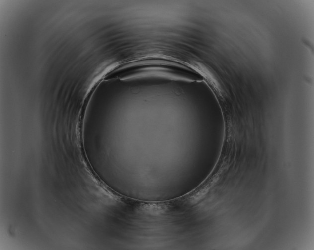 X0000093230806200710031457