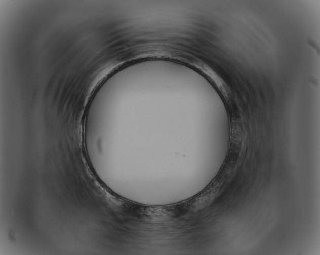 X0000093230807200710031457