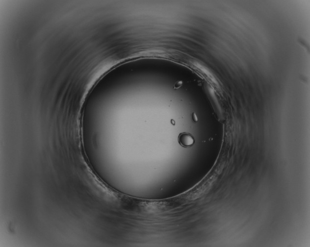 X0000093230808200710031457