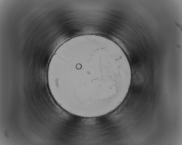 X0000093230810200710031457