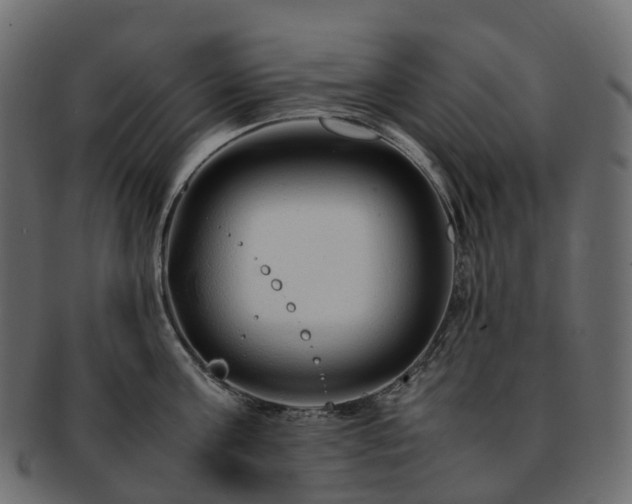 X0000093230811200710031457