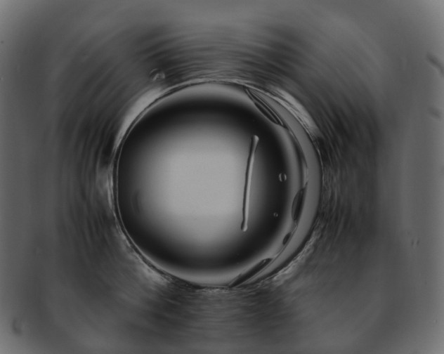 X0000093230812200710031457