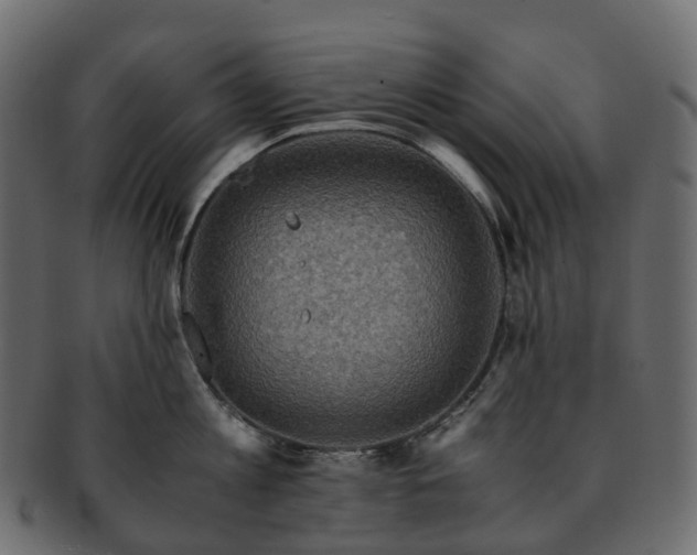 X0000093230813200710031457