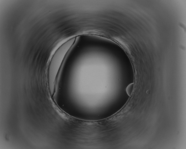 X0000093230816200710031457