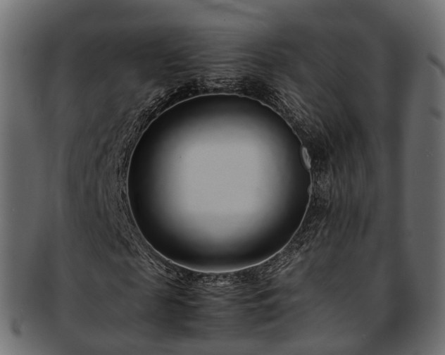 X0000093230817200710031456