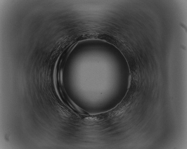 X0000093230818200710031456