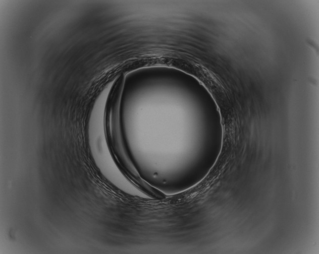 X0000093230821200710031456