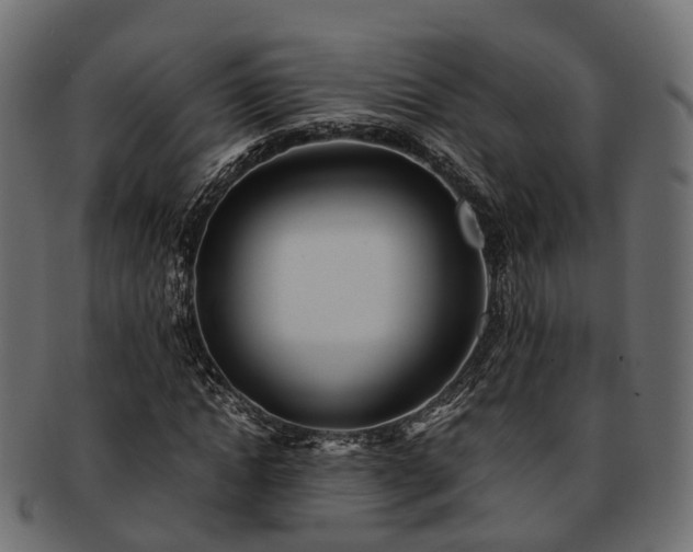 X0000093230822200710031456