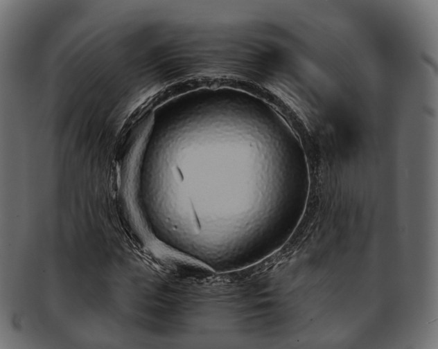 X0000093230823200710031456